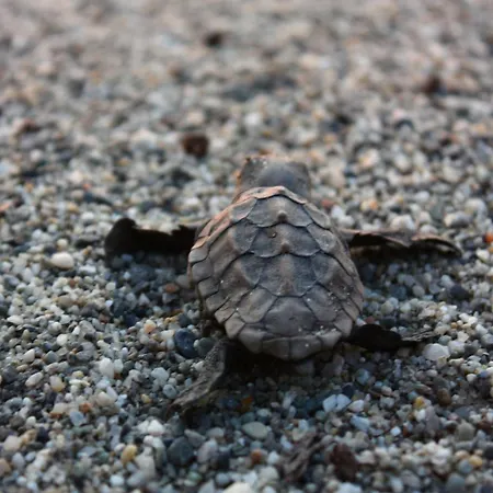 Bed & Breakfast Casa Cosmano