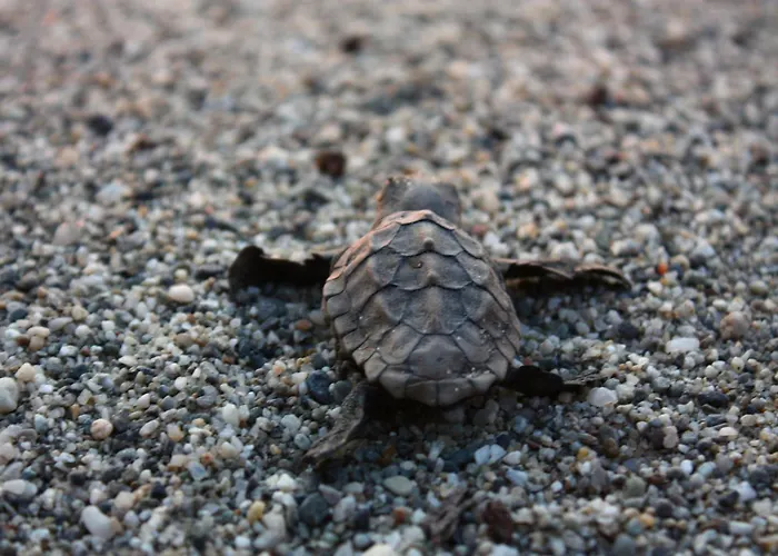 לינה וארוחת בוקר Casa Cosmano