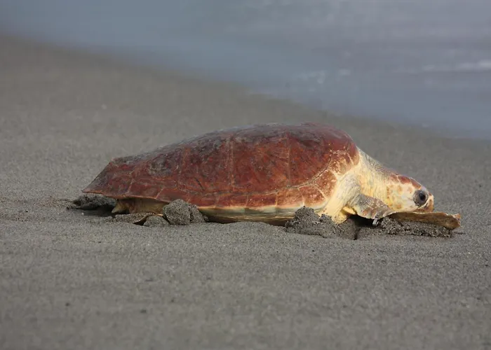 לינה וארוחת בוקר Casa Cosmano ברנקאלאונה מרינה